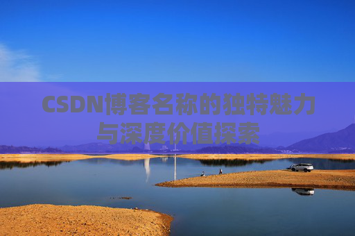 CSDN博客名称的独特魅力与深度价值探索